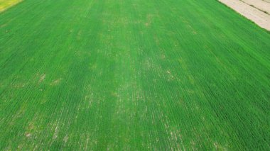 Yukarıdan gelen tarlalar çeşitli mahsulleri gösteriyor