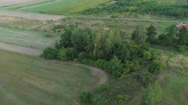 Vahşi geyiklerle huzurlu doğa sahnesi