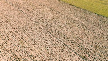 Pürüzlü tarla bahar ekimi için hazır