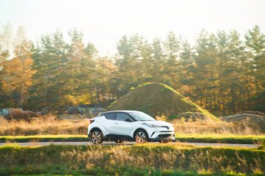 Asfalt yoldaki araba sonbahar yapraklarıyla çevrili.