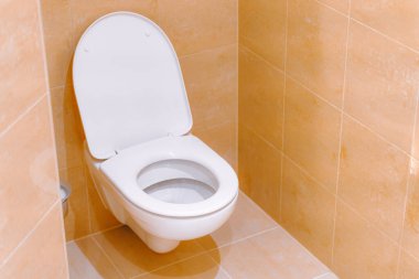 Duvara asılmış tuvalet fayanslı bir banyoda.