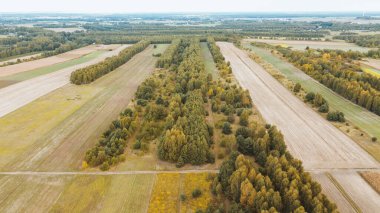 Yeşil tarlalı sonbahar manzarası