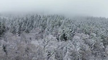 Buzla kaplı ağaçlar ve tepelerle rüzgarlı dağ manzarası