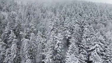 Kış sükunetinde karlı kırsal köy