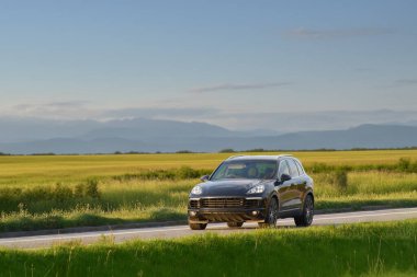 Alman siyah cipi manzaralı bir kır yolunda gidiyor.