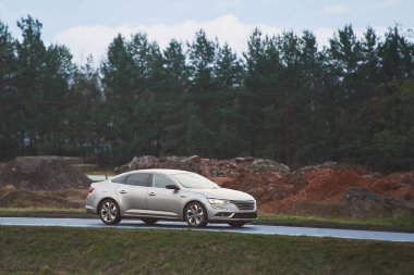 Ormanın yakınındaki otoyolda gümüş bir araba.