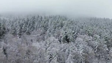 Buzla kaplı ağaçlar ve tepelerle rüzgarlı dağ manzarası