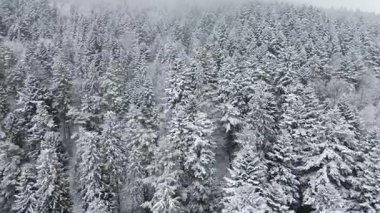 Kış sükunetinde karlı kırsal köy