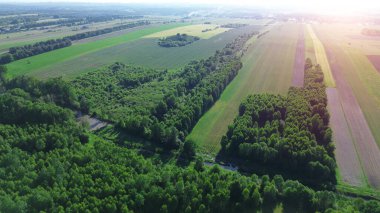 Yeşil tepe örtüsü, yukarıdan ekili topraklara ulaşıyor.