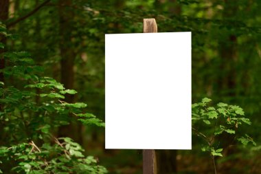 Doğa temalı ileti için kopyalama alanı işareti iletisi