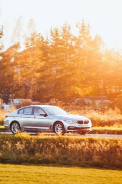 Orman geçmişini kullanan siyah sedan.