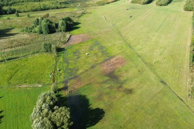 Sel basmış tarım arazileri ve ağaçların havadan görünüşü