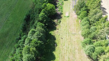 Koyun ve keçilerin otladığı hava manzarası