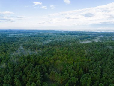 Gündoğumunda sis sonbahar ağaçları ve tarlaların üzerinde süzülür.