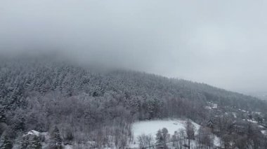 Karla kaplı ağaçlarla ve kırsal bölgelerle kış manzarası