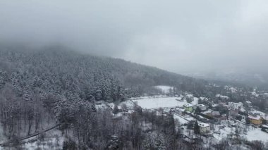 Ormanın ve kırsal köyün kış manzarası