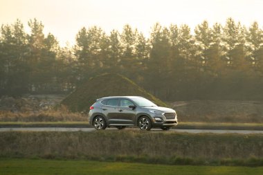 Sonbahar manzarasında alacakaranlıkta gezinen bir SUV.