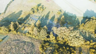 Yazın Bir Orman Göletinin Hava Fotoğrafı