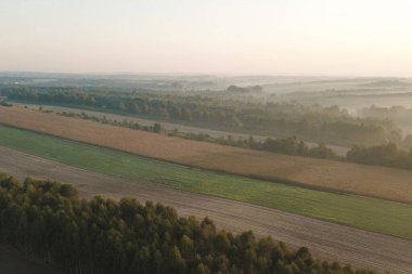 Sonbahar ağaçlarını ve tarlaları şafakta kaplayan alçak bulutlar