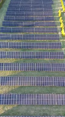 Günışığı güneş çiftliği yenilenebilir enerji üretiyor