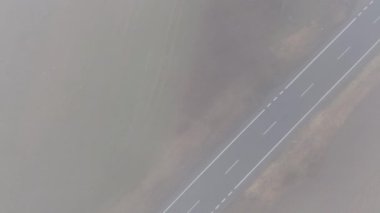 Ağaçlarla çevrili sisli otoyol.