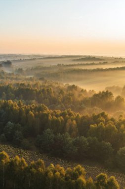 Orman tepelerinde sisli bir sabah
