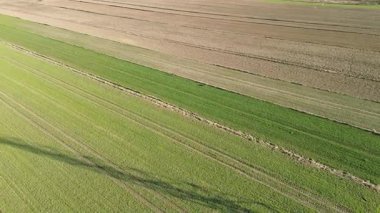 Açık havada vahşi yaşamın havadan çekilmiş görüntüleri.