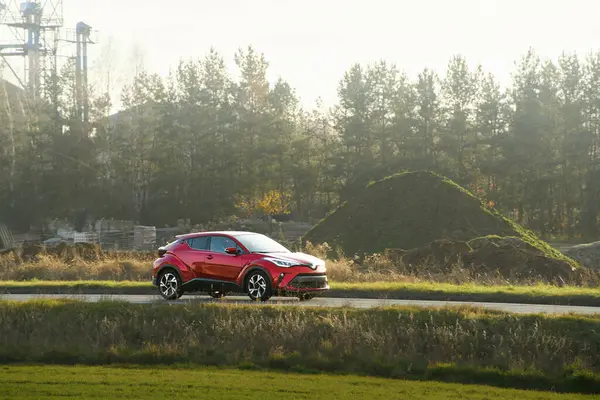 Gün batımında ormanda gezinen bir araç.