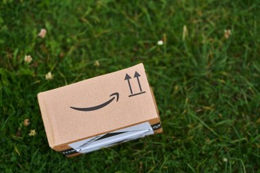 Çimenli arka planda Amazon Kahverengi Kutusu, teslimat simgesi Polonya, Avrupa 29.11.2024