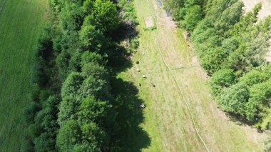 Koyun ve keçi otlatırken çekilen hava görüntüsü