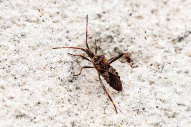 Yüzeydeki hatayı kapat