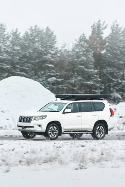 Güneşli kır yolunda modern araba sürüyor.