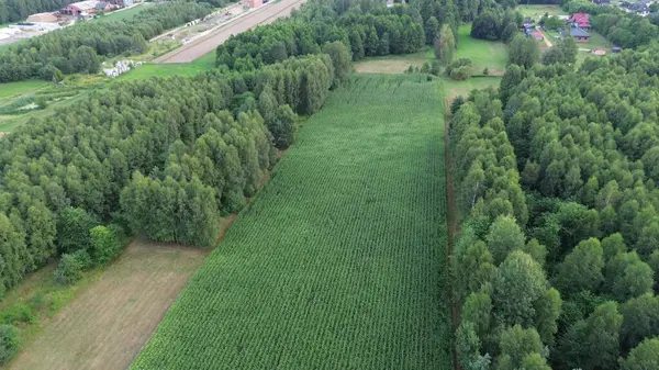 Tarımsal arazili kırsal bölgelerin insansız hava aracı görüntüsü
