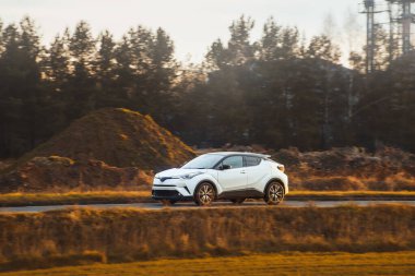 Kırsal alanda dolaşan beyaz elektrikli araba.