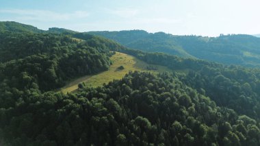 Yeşil tepeleri ve sık ormanları olan dağlık bir arazi.