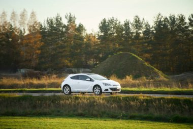 Sonbaharda ormanın yakınındaki hibrid hatchback aracı