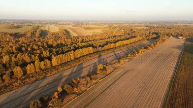 Sonbahar ormanlarının manzaralı manzarası