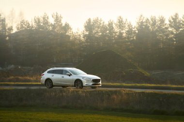 Araba sürüşü ile orman geçmişi