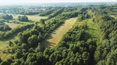 Renkli yapraklı kırsal alan