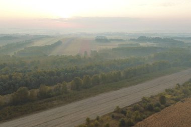 Açık gökyüzünün altında puslu sonbahar ormanı