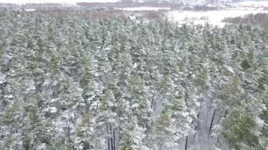 Ağaçlar ve evler ile karlı kırsal alan