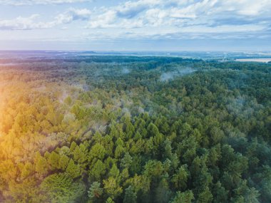 Yeşil kırsal alanda puslu sabah güneşi