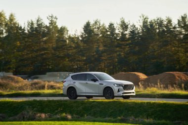 Manzaralı otoyolda giden parlak SUV kamyonu.