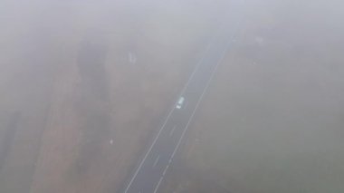 Sis kaplı cadde ve ağaçlarla kaplı kırsal manzara