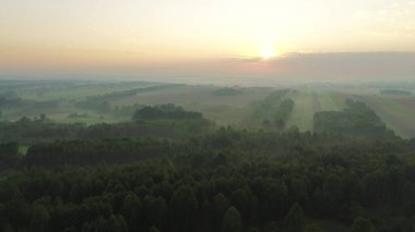 # Büyüleyici sonbahar sisi tarlalar ve ağaçlar üzerinde #