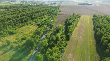 Kırsal bir yolu olan yemyeşil bir arazi.