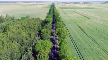 Orman ve tarım arazileri yol manzarası ile bölünmüş.