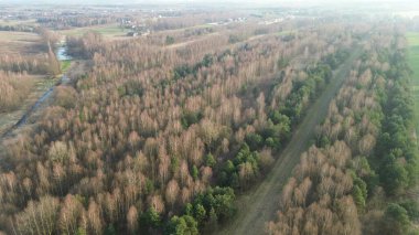 İnsansız hava aracı ormanı ve açık araziyi ele geçirdi.