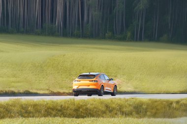 Kırsal Yol 'un yakınındaki Orman' dan geçen Sarı Elektrikli SUV