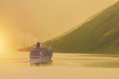 Büyük bir yolcu gemisi arka planda dağlarla körfezde seyrediyor.